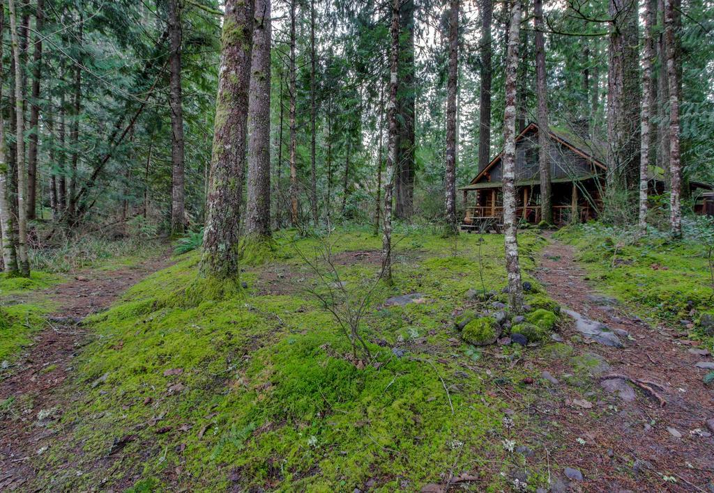 Zoe'S Log Cabin Welches Kültér fotó