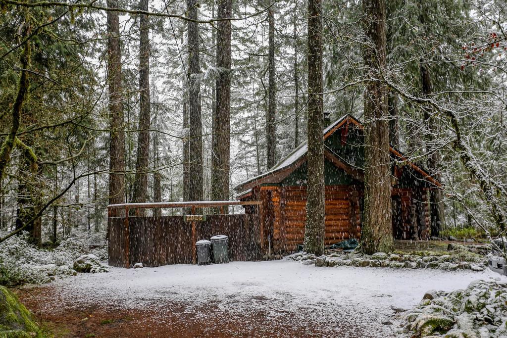 Zoe'S Log Cabin Welches Kültér fotó
